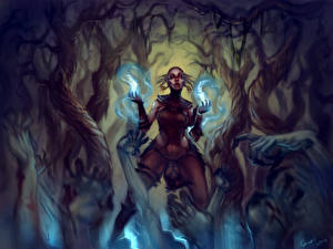 Bakgrundsbilder på skrivbordet Diablo Diablo III Fantasy Unga_kvinnor