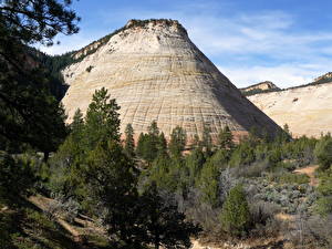 桌面壁纸，，公园，山，錫安國家公園，美国，Checkerboard Mesa Utah，