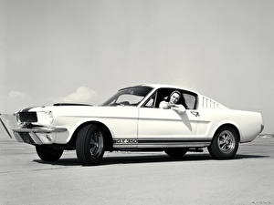 Fonds d'écran Shelby Super Cars GT350 1965 voiture