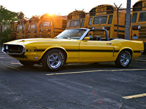 Image Shelby Super Cars GT350 Convertible 1969 auto