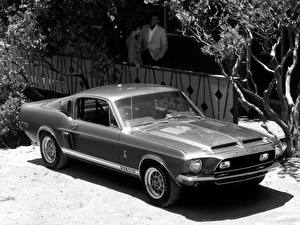 Wallpapers Shelby Super Cars GT500 1968 automobile