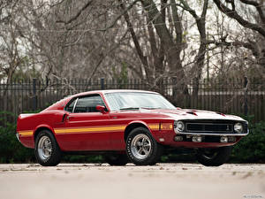 Images Shelby Super Cars GT500 1969