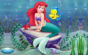 Hintergrundbilder Disney Arielle, die Meerjungfrau Zeichentrickfilm