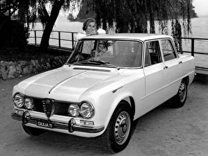 Bilder Alfa Romeo
