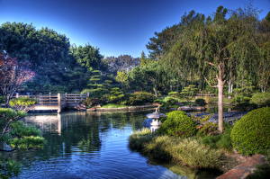 Bureaubladachtergronden Tuinen Vijver Earl Burns Miller Japanese California USA Natuur