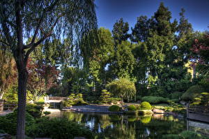 Bureaubladachtergronden Tuin Vijver Earl Burns Miller Japanese California USA Natuur
