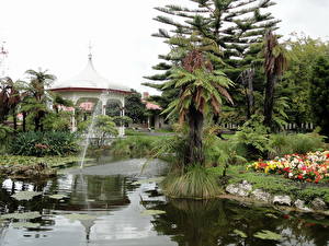 Обои Сады Пруд New Zealand Rotorua   Природа
