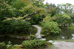 Обои Сады Пруд Isuien Nara Japan Природа