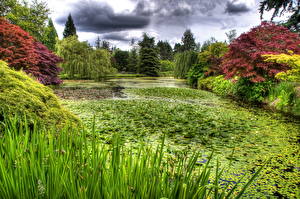 Фотография Сады Пруд VanDusen Botanical Vancouver  Канада Природа