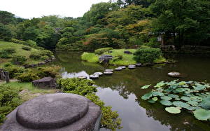 Обои Сады Пруд Isuien Nara Japan Природа