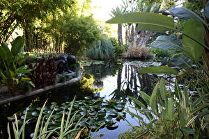 Bureaubladachtergronden Tuin Vijver Botanical San Marino California USA Natuur