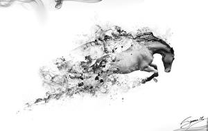 Papel de Parede Desktop Cavalos 3D Gráfica