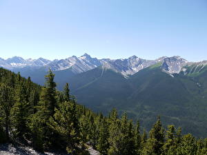 Bakgrunnsbilder Park Canada Banff Alberta Natur