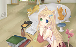 桌面壁纸，，猫耳，日本动画，女孩