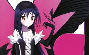 Pictures Accel World Girls