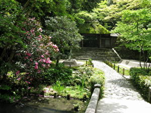Bakgrundsbilder på skrivbordet Trädgård Kyoto  Natur