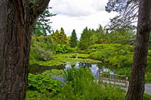 Картинки Сады Пруд VanDusen Botanical Vancouver Канада Природа