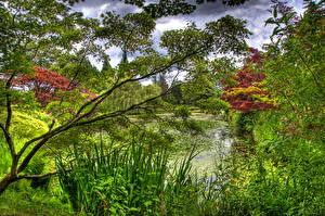 Bureaubladachtergronden Tuin Vijver VanDusen Botanical Garden Vancouver Natuur