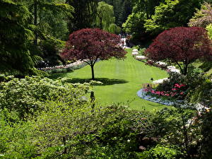 Picture Gardens Canada Butchart Victoria Nature