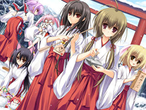 Desktop hintergrundbilder Otome wa Boku ni Koishiteru Anime Mädchens