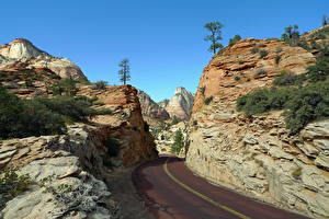 Hintergrundbilder Park Zion-Nationalpark Vereinigte Staaten Natur
