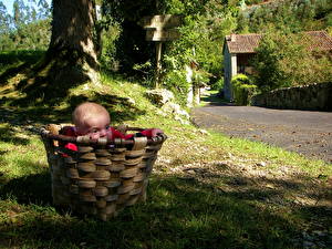 Image Baby Wicker basket child