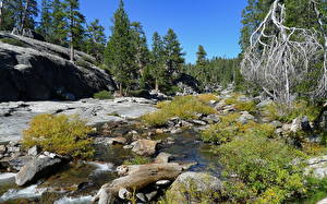 Bakgrundsbilder på skrivbordet Parker USA Yosemite Kalifornien Natur