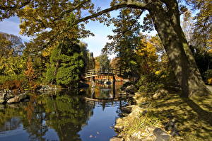 Photo Gardens Pond Wroclaw Poland Japanese Nature