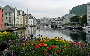 Bilder Norwegen Alesund Städte