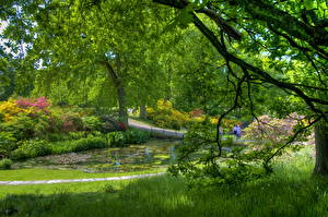 Bureaubladachtergronden Tuin Vijver Gardens of Sofiero Castle Helsingborg Sweden Natuur