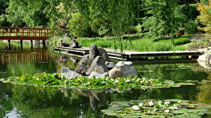 デスクトップの壁紙、、公園、ヴロツワフ、ポーランド、Japanese Garden Park Szczytnicki、自然