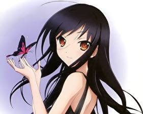 Wallpapers Accel World Anime Girls