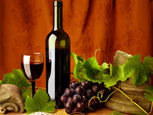 Desktop hintergrundbilder Getränke Wein Flasche das Essen