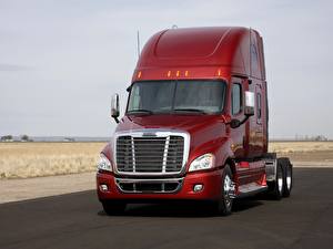 Fotos Freightliner Trucks Lastkraftwagen Autos
