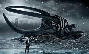 Fonds d'écran Super héros Romantically Apocalyptic Squelette Fantasy