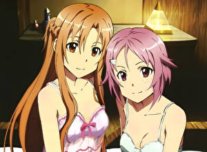 Image Sword Art Online 2012 Anime Girls