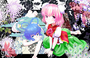 Photo Touhou Collection Girls
