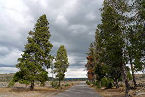 Tapety na pulpit Parki Stany zjednoczone Yellowstone Natura