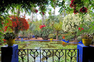 Bureaubladachtergronden Tuin Vijver Morocco Marrakech Jardin Majorelle Natuur