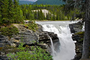 デスクトップの壁紙、、滝、カナダ、ジャスパー国立公園、athabasca falls、自然
