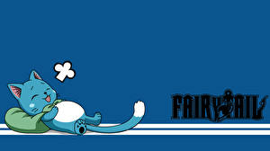 Hintergrundbilder Fairy Tail