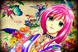 Desktop wallpapers Rosario to Vampire Anime Girls