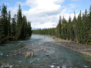 Fondos de escritorio Ríos Canadá Parque Jasper Whirlpool River Naturaleza