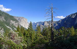 Bureaubladachtergronden Parken Amerika Yosemite Californië Natuur