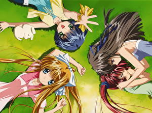 Bakgrundsbilder på skrivbordet Air Anime Unga_kvinnor