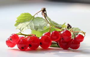 Sfondi desktop Frutta Ribes Cibo