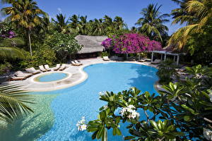 Bakgrunnsbilder Resort Maldivene Svømmebasseng Byer
