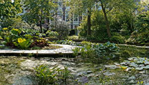 Bakgrundsbilder på skrivbordet Trädgård En damm Amsterdam Hortus Botanicus Natur