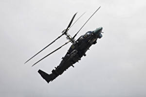 Фотография Вертолет Ка-52 Аллигатор