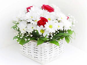 Sfondi desktop Mazzo di fiori Margherite fiore